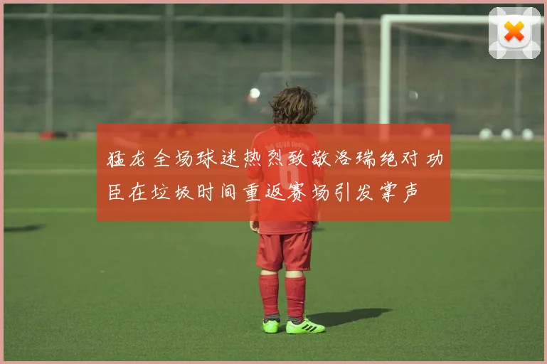 猛龙全场球迷热烈致敬洛瑞绝对功臣在垃圾时间重返赛场引发掌声